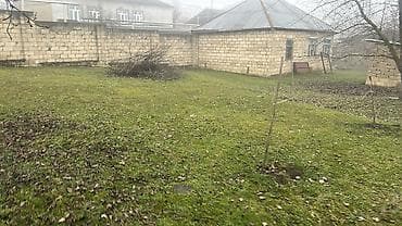 15 sot, Tikinti, Mülkiyyətçi, Kupça (Çıxarış)