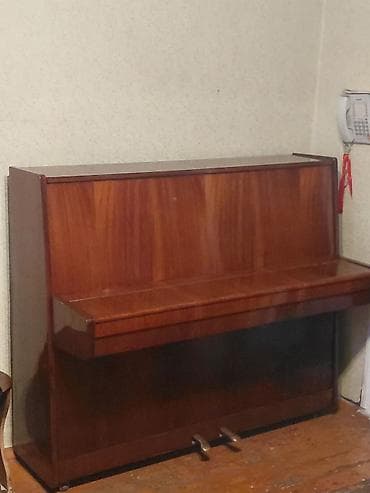 Охота и рыбалка: Upright pianino - Korpus: klassik dik (upright) konstruksiya — 1