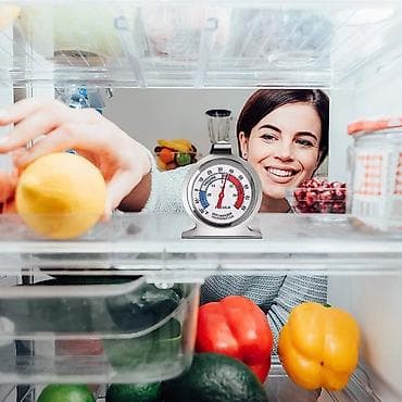 ata sekilleri: Soyuducu termometri . Большой циферблатный индикатор】: циферблат — 2