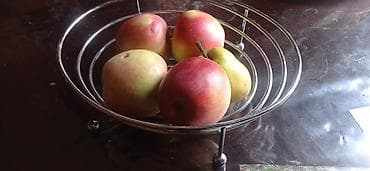 Электротранспорт: Антикварная посуда — 10