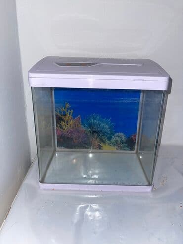 akvarium filteri: Akvarium. Əla vəziyyətdə . Filtrı yoxdur.İşıqı işləyir — 1