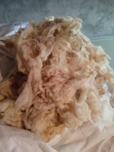 bambu tekstil: Yuyulmuş qoyun yunu satılır. 1 kq mı 1 manata.Köçlə bağlı ucuz — 2