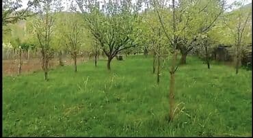 sulutəpə çiçək qəsəbəsi: Göygöl, Çaylı kəndində yerləşən 12 sot torpaq sahəsi. Sənəddə 10 sot — 1