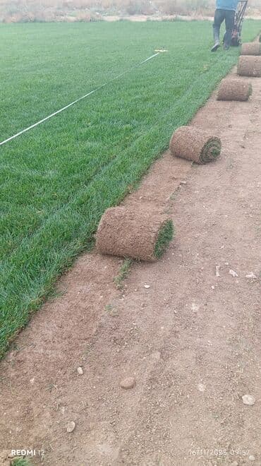 mx group inşaat: Kənd təsərrüfatı, Mülkiyyətçi — 21