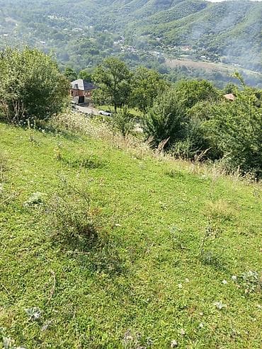 ucuz torpaq sahəsi: 17 sot, Tikinti, Maklerlər narahat etməsin, Bələdiyyə — 3