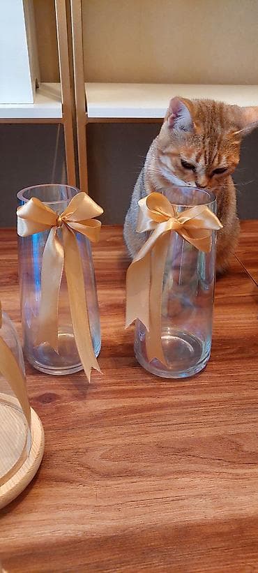 Сеточные витрины: Xonça aksesuarları - Qızılı metaldan hazırlanmış 3 ədəd açılan quş — 6