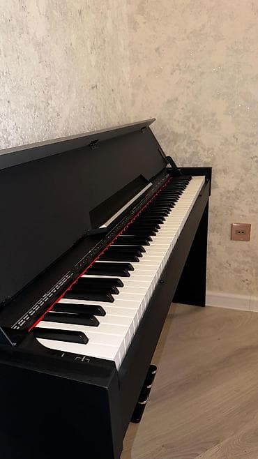 Pianolar: Piano, Casio, Rəqəmsal, İşlənmiş — 2