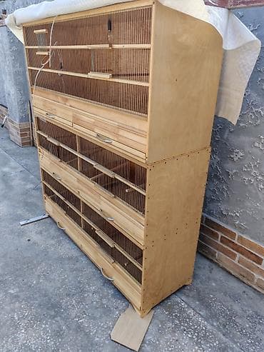 mal bazari: Taxta qəfəs, çoxsəviyyəli quş qəfəsləri sistemi. Uzunluğu - — 4