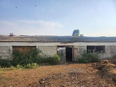 asan əmlak: Ferma təsərrüfatı üçün daş konstruksiyalı iri təsərrüfat binaları və — 4