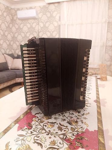 Akustik Akkordeon