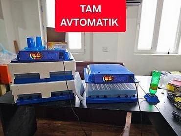 100 яиц, Китай, Заводское производство, Полностью автоматическая, Для всех видов птиц — 1