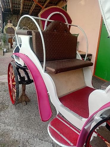 aptek seymur фото: At arabası (fayton) – klassik dizaynlı, bəzəkli təkərlərlə - Növ: İki — 2