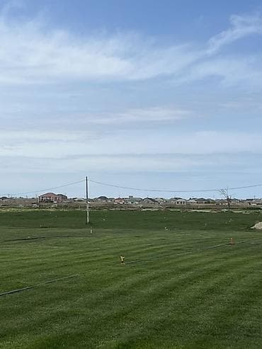 suni otlar: Super qazon alağsız super qazon du göm göy isdiyen olsa qiymede de — 2