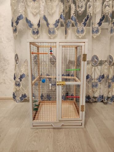 ag dovsan: Papuqay,dovşan,hamster,şinşila,bildirçin,cücə,xamyak,pişik,quş,tısbağa — 2