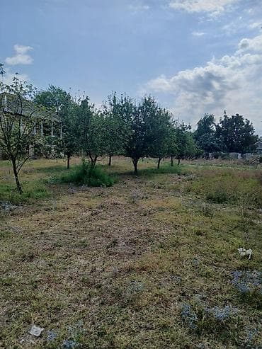 şabran torpaq satılır: Kənd təsərrüfatı — 2