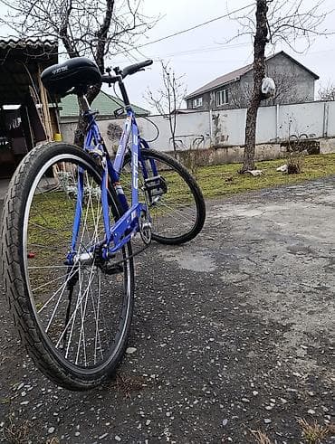 Şəhər velosipedi Stels, 28", sürətlərin sayı: 1