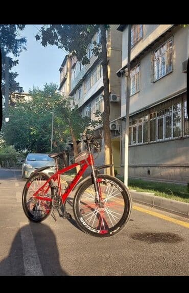 balıq tor: Velosiped – dağ/şəhər tipli, qırmızı rəng. Xüsusiyyətlər: - Güclü — 4