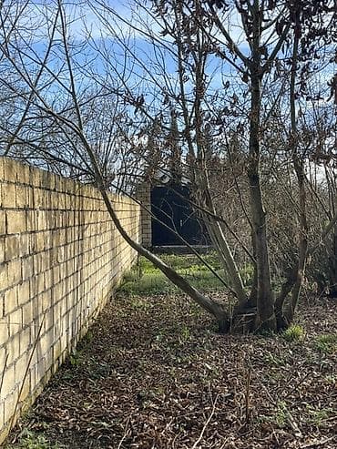 xızı torpaq: 14 sot, Tikinti, Mülkiyyətçi, Kupça (Çıxarış) — 7