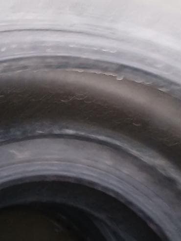 amc disk: Məhsul: Avtomobil şinləri (4 ədəd) Təsvir:yumurudu - Ölçü və model — 1