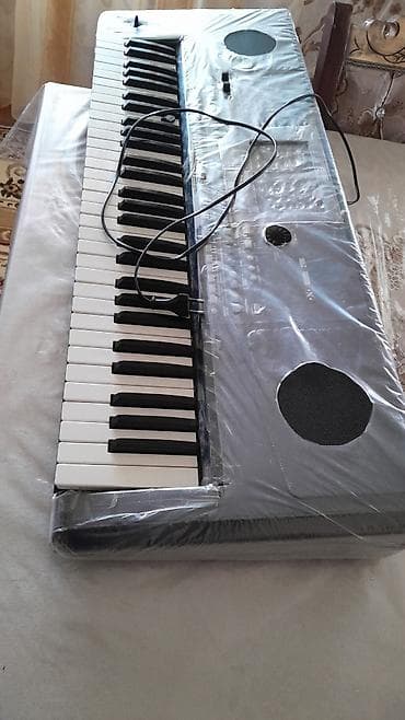 Спорт и отдых: Синтезатор, Korg — 3