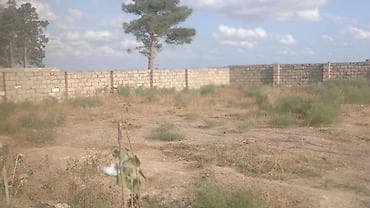 torpaa: 4500 sot, Biznes üçün, Mülkiyyətçi, Kupça (Çıxarış) — 2