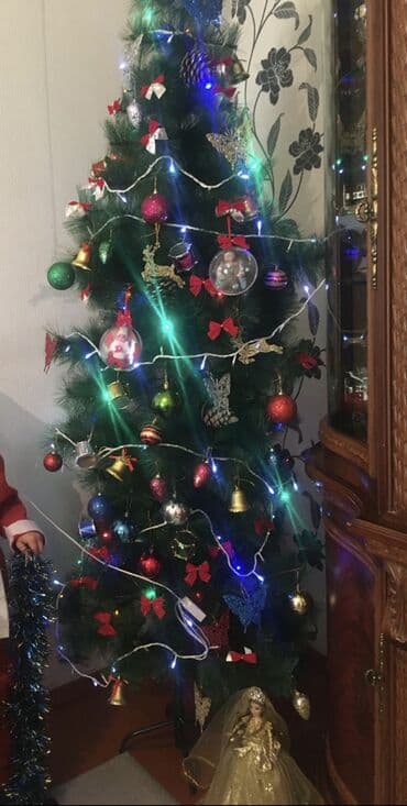 Словари: Yolka satılır — 2