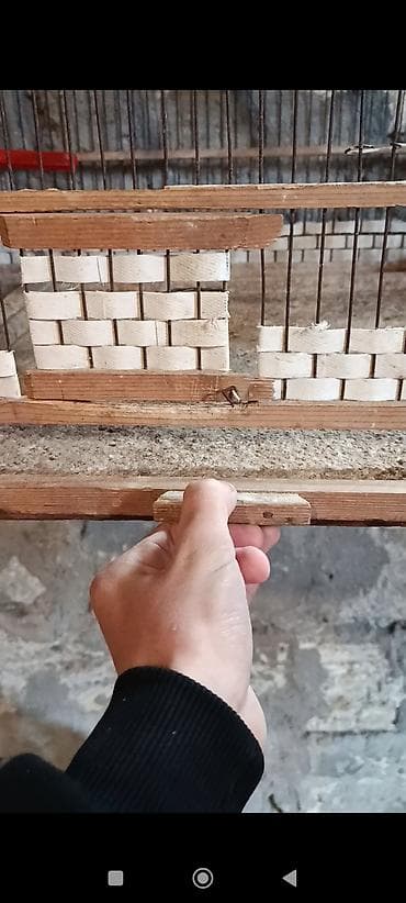 danşan quş: Taxta quş qəfəsi - Material: möhkəm taxta karkas, metal şəbəkə — 3