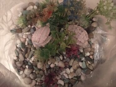 Аквариумные аксессуары и принадлежности: BOYU markasına aid bu akvarium evdə və ya ofisdə balıq saxlamaq üçün — 4