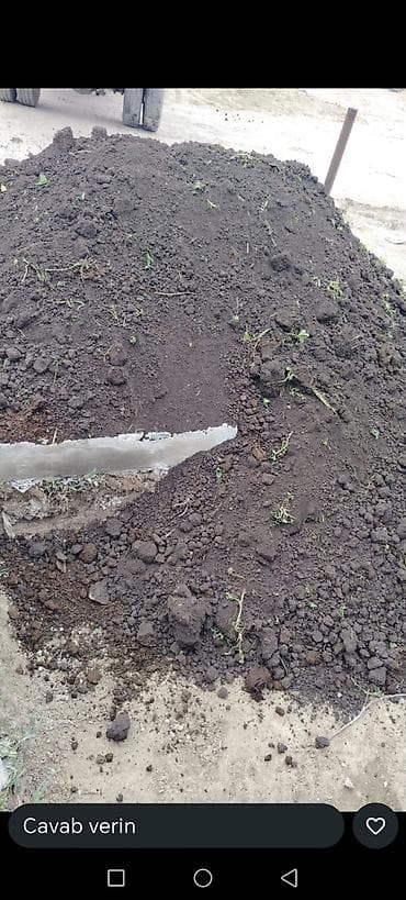 ailə agacı: Məhsul: Qara torpaq (bağ və landşaft işləri üçün)İsmayıl şamaxi — 4