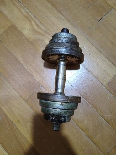 Электротранспорт: Блин для штанги, Вес: 75 кг, Б/у — 2