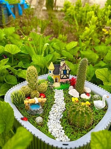 gul qablarinin satisi: Mini bağ kompozisiyası – sukulent/kaktus terrariumu - Üçbucağa yaxın — 3