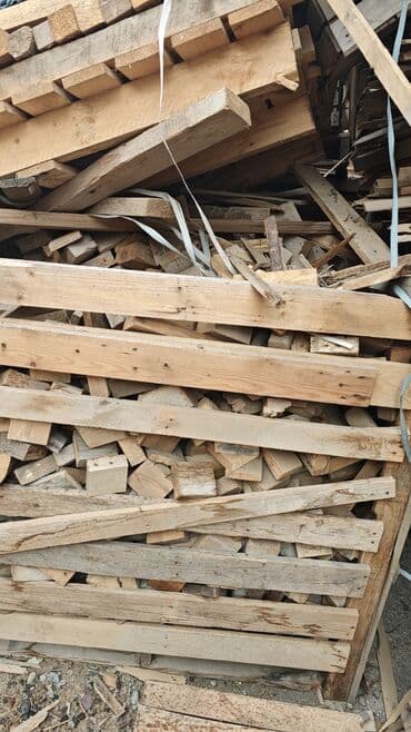 Qaz balonları: Odun kamazı 100 — 6