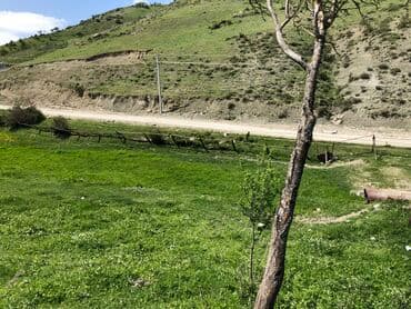 yeni əmlak sumqayıt: 30 sot, Kənd təsərrüfatı, Mülkiyyətçi, Kupça (Çıxarış) — 13