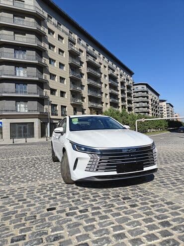 byd lizinq: BYD Destroyer 05: 1.5 l | Sedan — 2