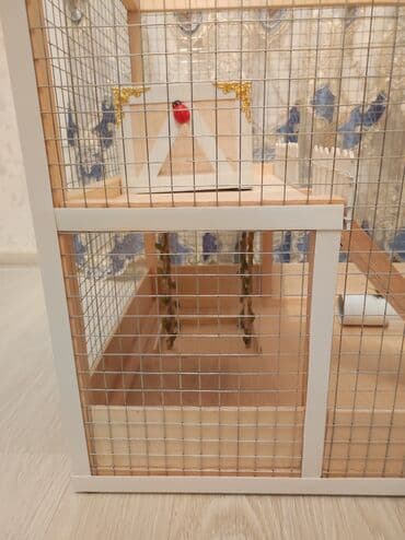 ag dovsan: Dovşan,hamster,şinşila,bildirçin,cücə,xamyak,pişik,quş ve s kimi ev — 5