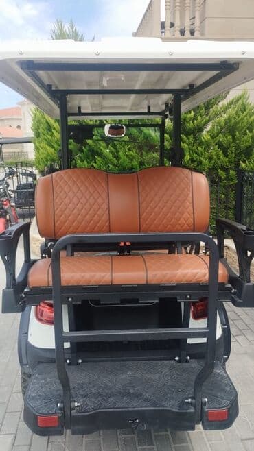 paltaryuyan temiri: Elektrik qolf karı – model DH-W2+2 Texniki xüsusiyyətlər: - Elektrik — 1