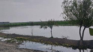 munasib qiymete evler: 8 sot, Kənd təsərrüfatı, Maklerlər narahat etməsin, Kupça (Çıxarış) — 6