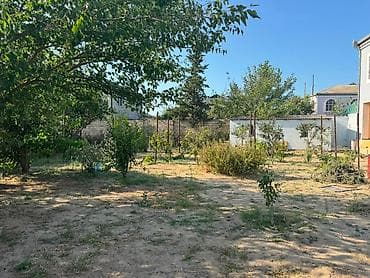 sabuncu ev: 5 otaqlı, 350 kv. m, Kredit yoxdur, Orta təmir — 1