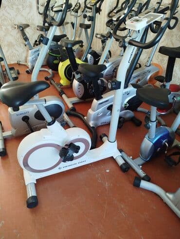 İdman çantaları: Masaüstü velotrenajorlar – müxtəlif modellər və dizaynlar — 1