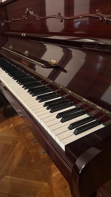 Musiqi alətləri: Piano, Rönisch, Akustik — 2