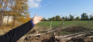 lalafo долгосрочная аренда квартир: 15 соток, Для сельского хозяйства — 1