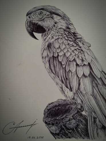 Şəkil və rəsmlər üçün çərçivələr: Salam. Gördüyünüz şəkillər hamısı öz əl işlərimdir və satışdadır — 5