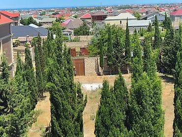бузовна: 10800 соток, Бялядия (муниципалитет) — 9