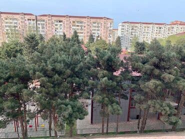 laçında kirayə ev: 3 otaqlı, Yeni tikili, 91 kv. m — 13