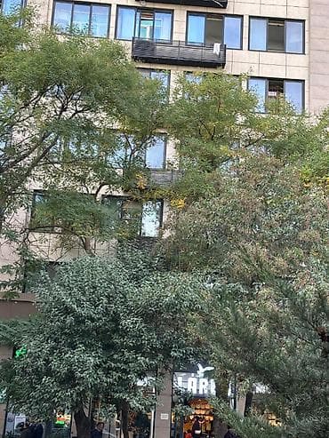 2 otaqlı, Yeni tikili, 67 kv. m — 2