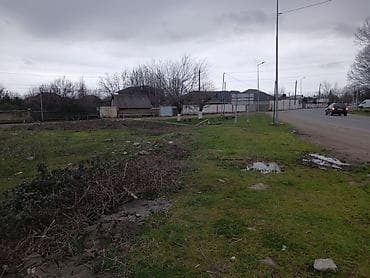 Otaqlar: 6 sot — 2