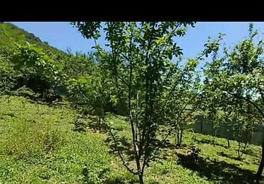 sumqayıtda torpaq: 4 sot, Tikinti, Mülkiyyətçi, Kupça (Çıxarış) — 8