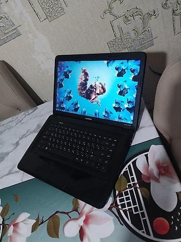 İşlənmiş HP ProBook, 15.6 ", AMD E1, 512 GB, Ünvandan götürmə, Ödənişli çatdırılma, Rayonlara çatdırılma — 3
