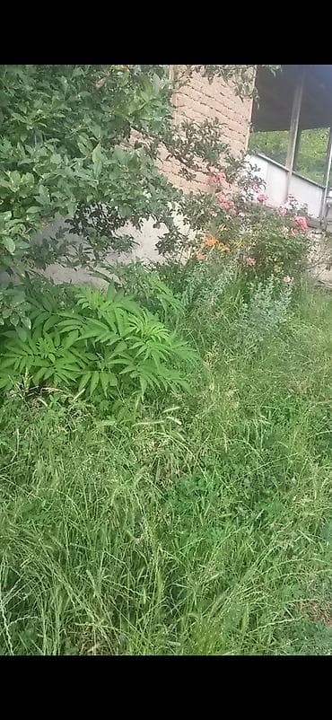 Tecili satliir cuzi endirim var