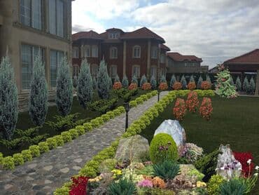 lipa ağacı: Dekarativ agaclarin satisi qazon torpaq torf diger gubrelerin satisi — 11